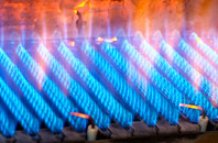 Raddery gas fired boilers
